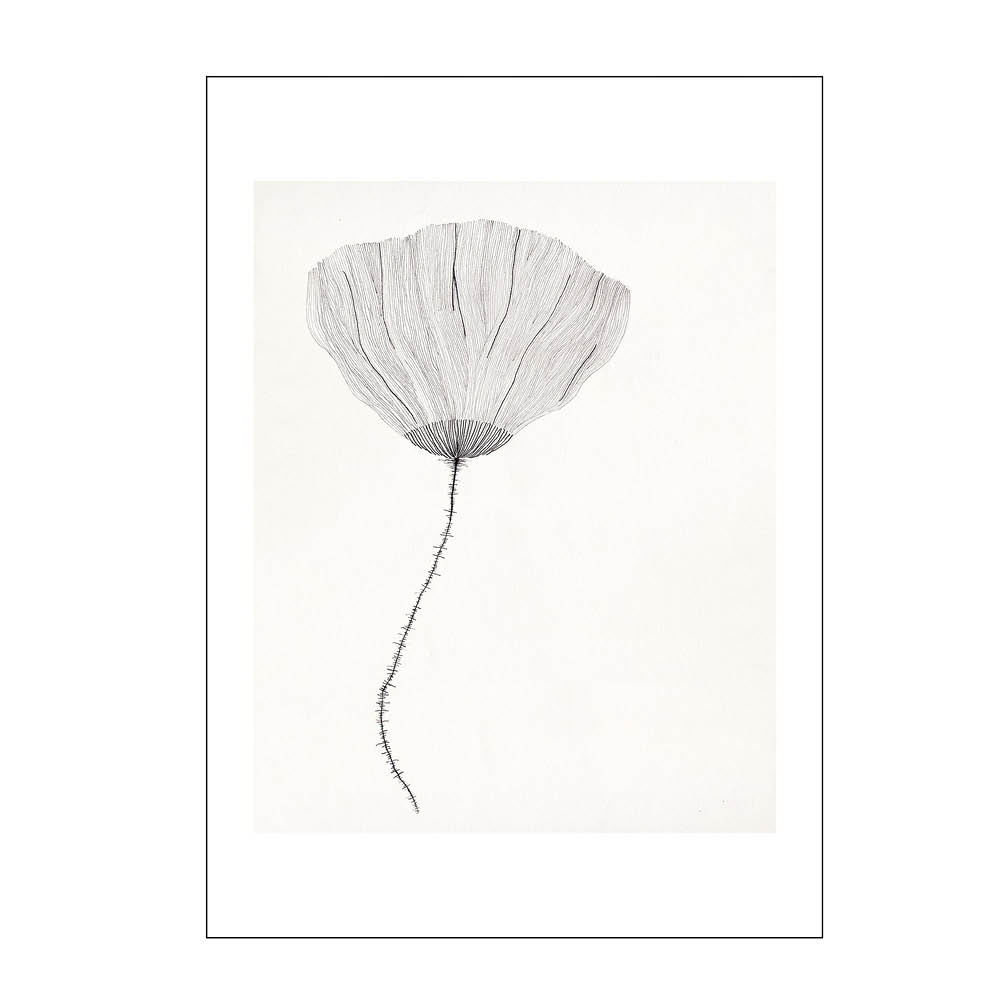 Läs mer om Poster & Frame - The Poster Club x Ana Frois poster 30x40 cm poppy