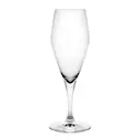 Perfection champagneglas 23 cl