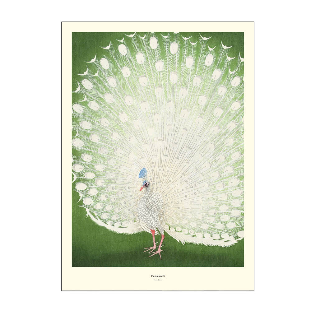 Läs mer om Poster & Frame - A.P. Atelier poster 50x70 cm peacock