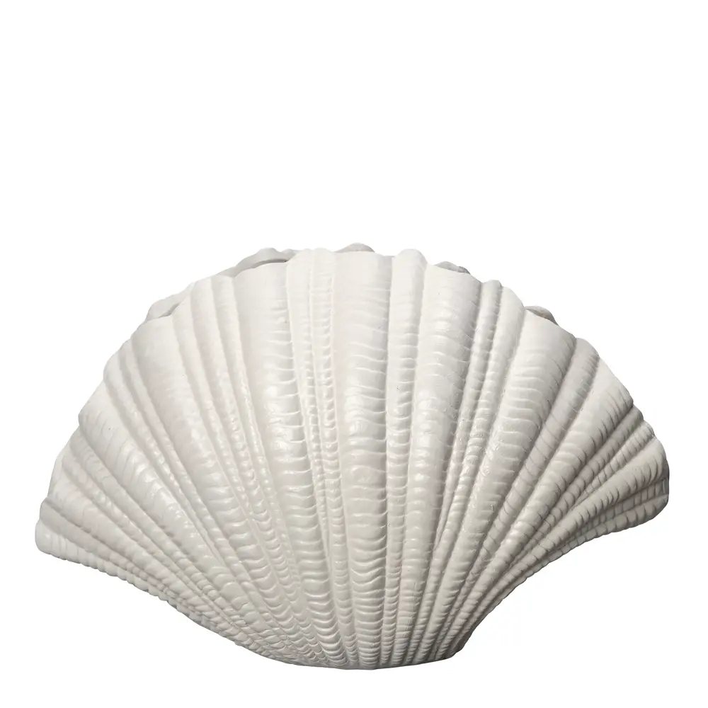 Shell Maljakko 31x19 cm Valkoinen