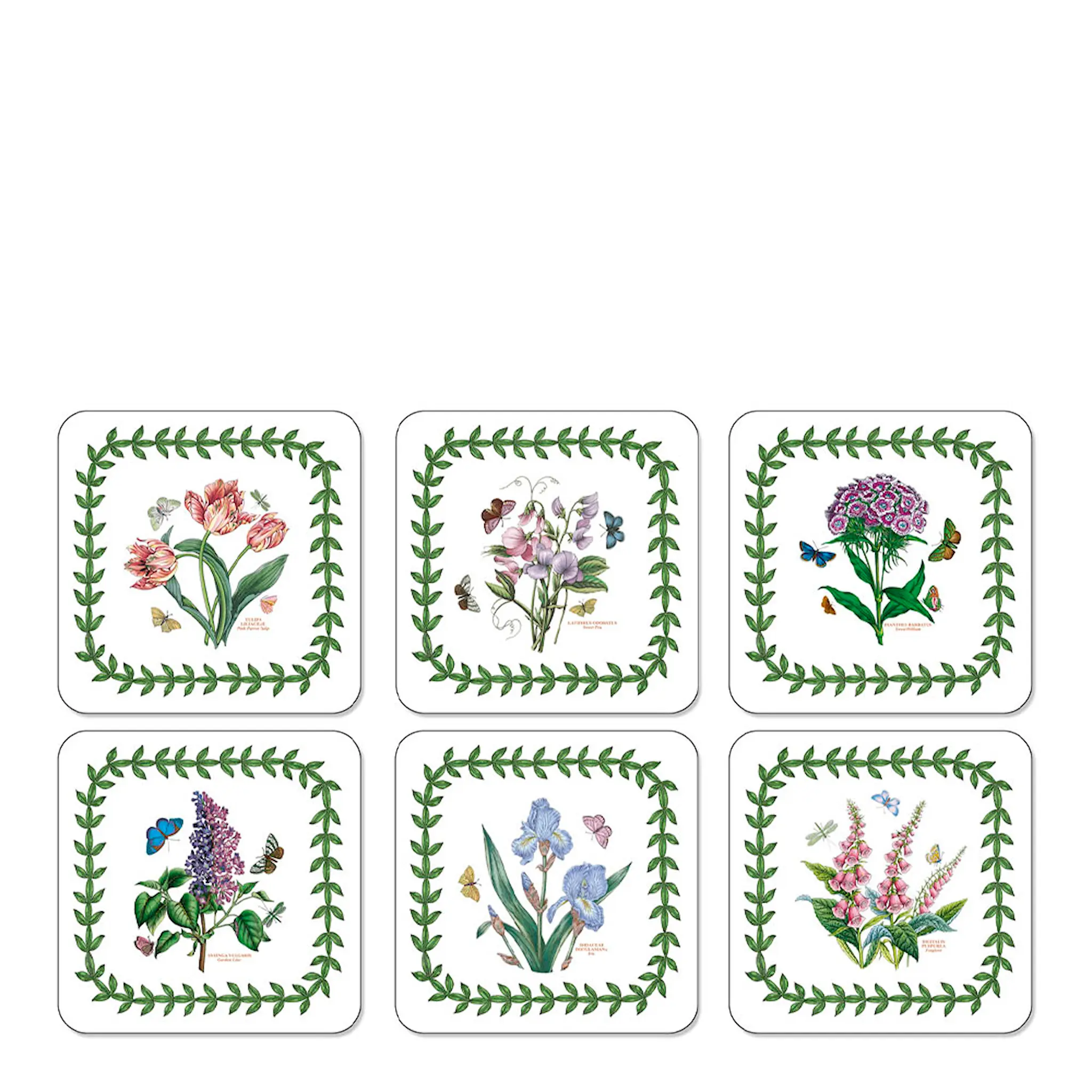 Pimpernel Botanic Garden Glasunderlägg 6-pack