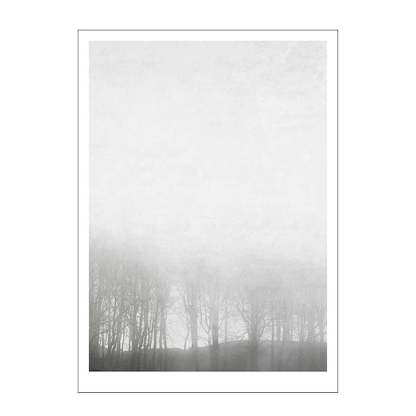 Ingrey Studio poster 50x70 cm morning fog