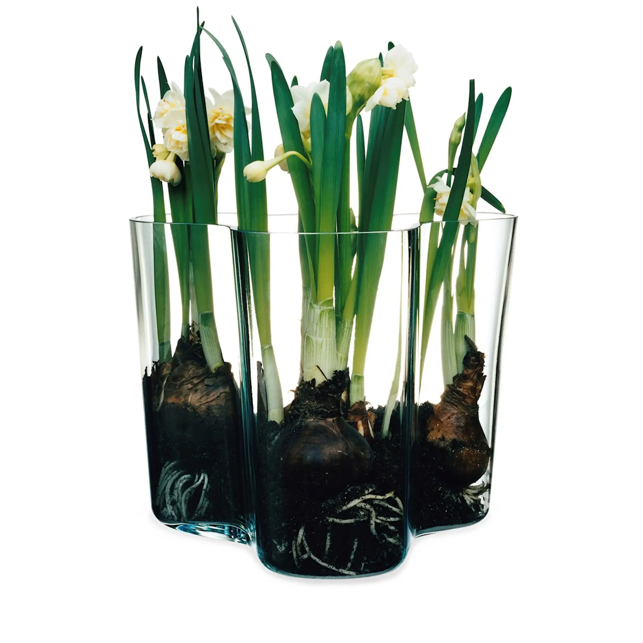 iittala Alvar Aalto vase sett 2 stk 9,5 + 16 cm klar