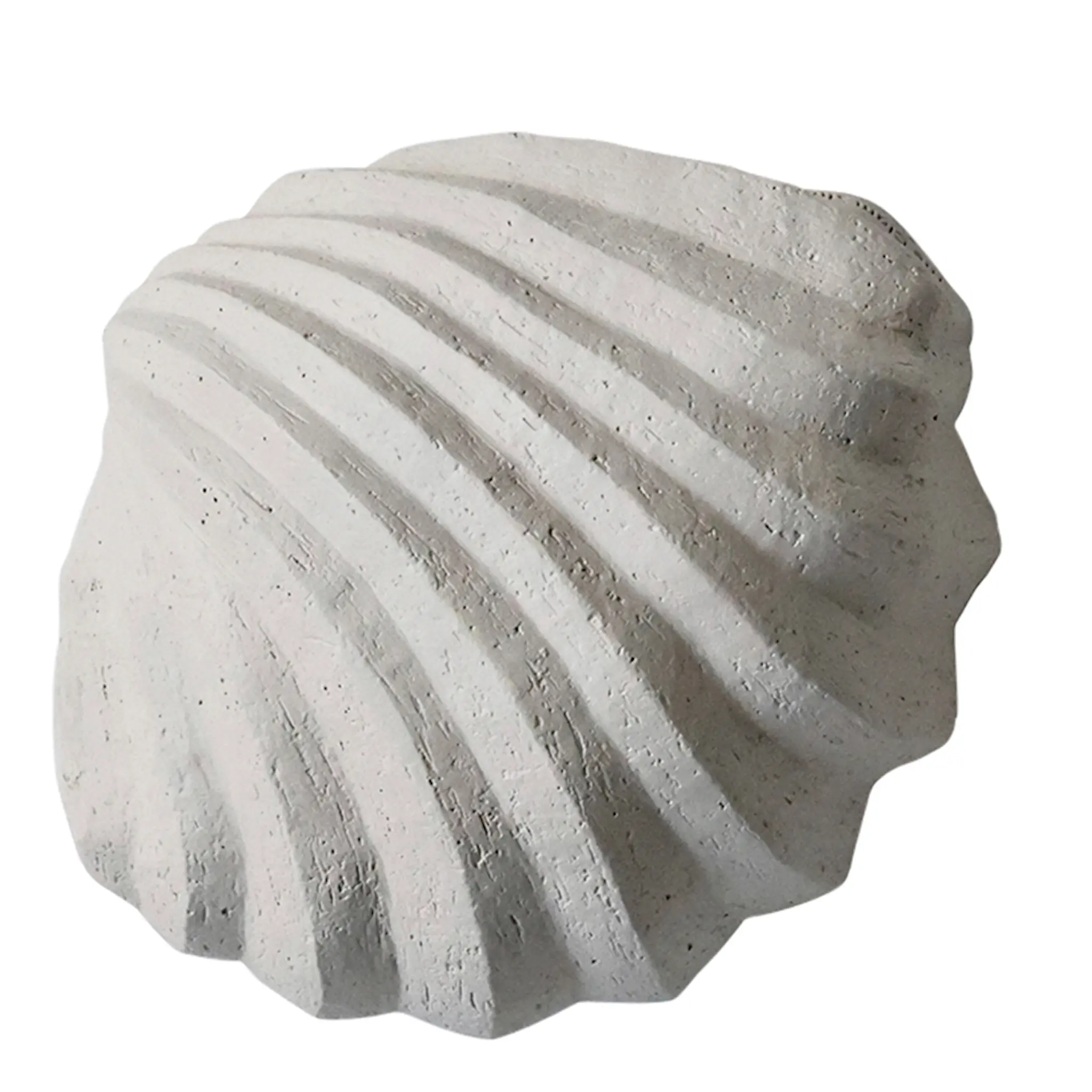 Cooee The clam shell skulptur limestone