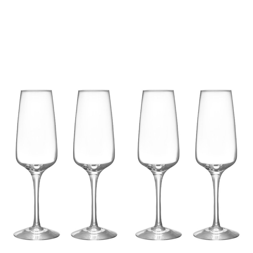 Orrefors - Pulse Champagneglas 28 cl 4-pack