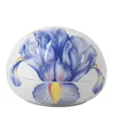 Spring Collection 2024 Bonbonniere 10 cm Blå Iris