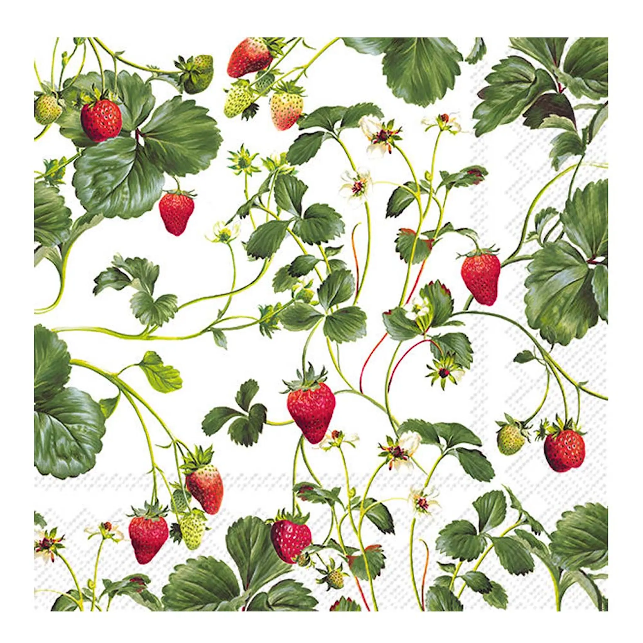 Ihr Servetti Strawberries 24x24 cm 20 kpl