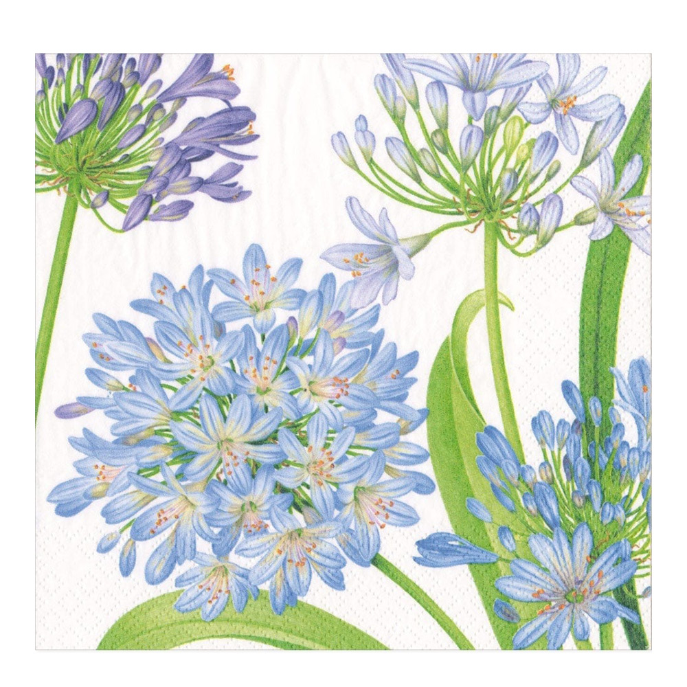 Caspari - Agapanthus Garden servett 40x40 cm 20-pack blå/lila/vit