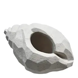 Cooee The Pear Shell Skulptur Limestone