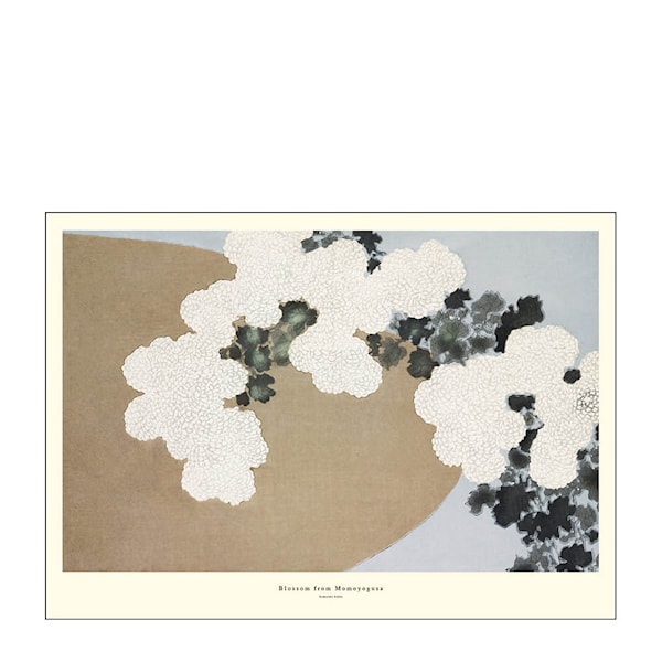 A.P. Atelier poster 30x40 cm blossom from momoyogusa