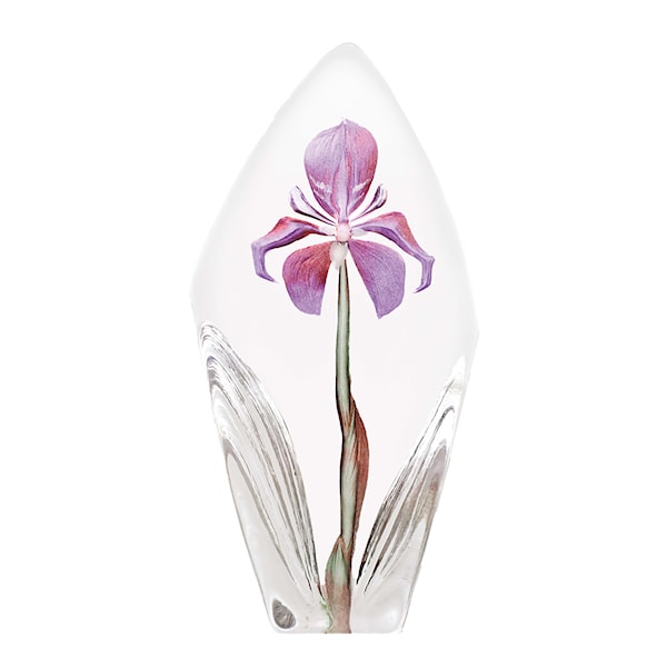 Floral Fantasy Acarena Skulptur 19 cm Lila