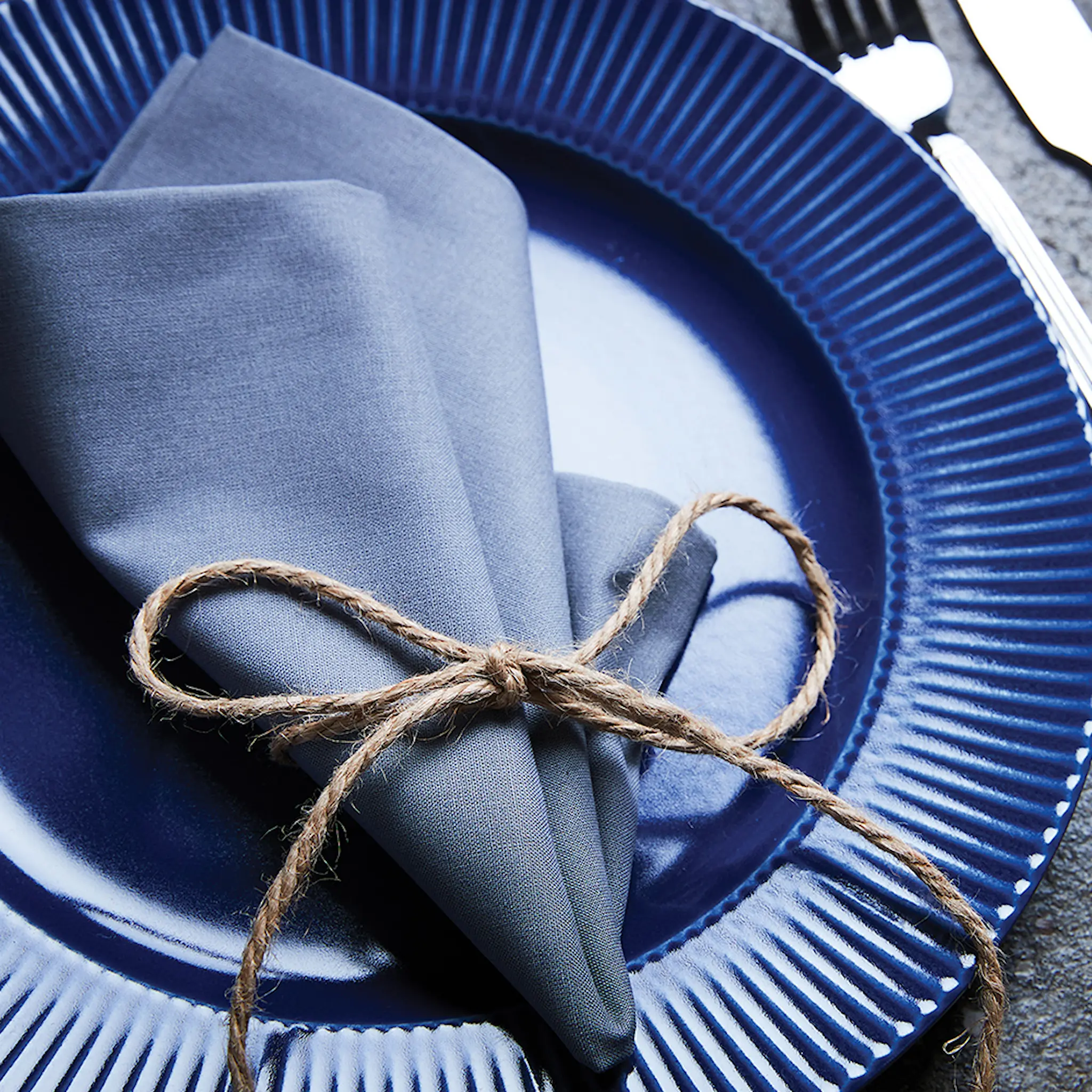 Aida Groovy stentøy middagstallerken 27 cm blå