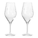 Flower Champagneglas 35 cl 2-pack