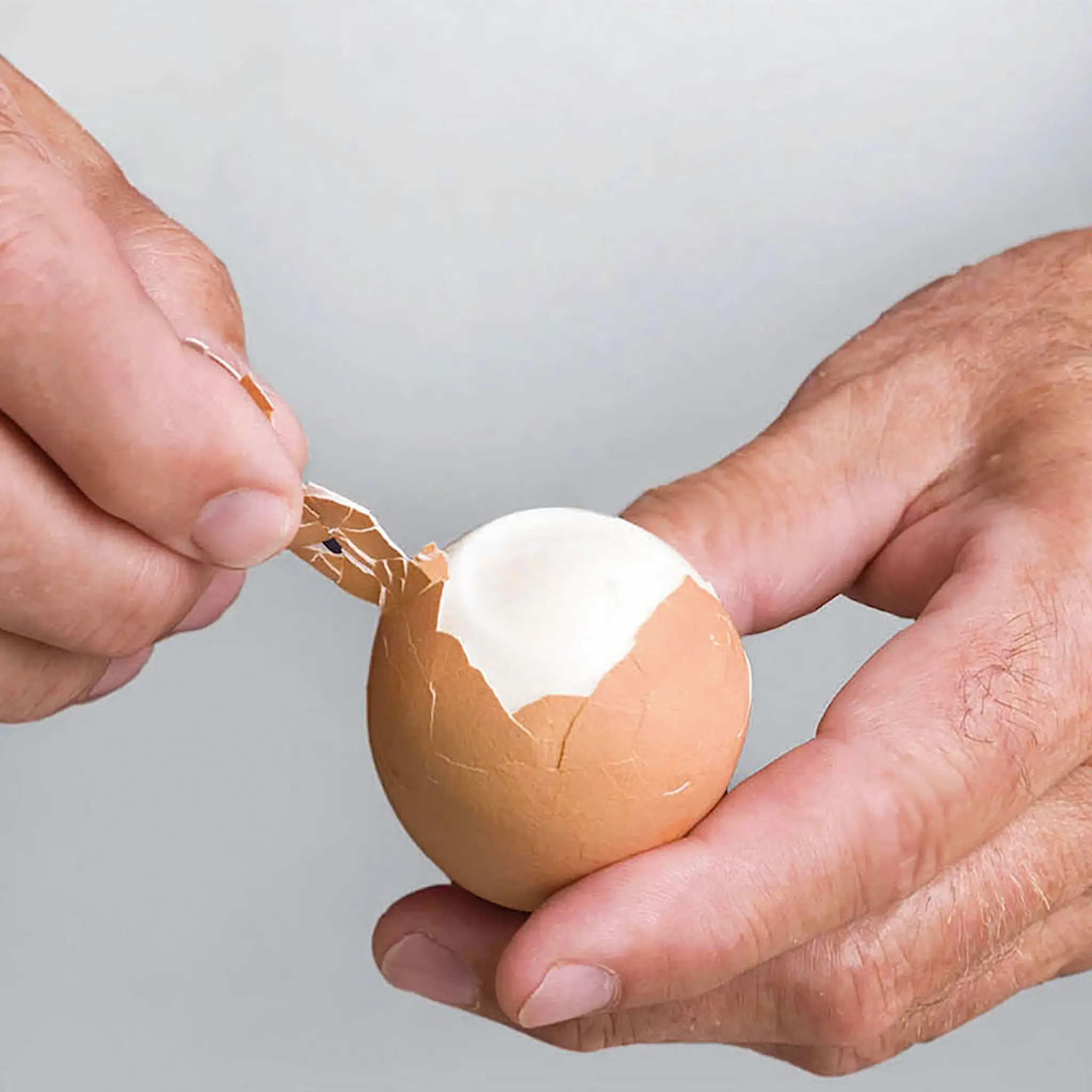 Modern House Egg de Luxe Munanvatkain Valkoinen