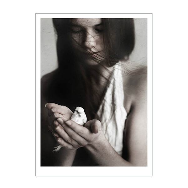 Ingrey Studio poster 30x40 cm girl & bird