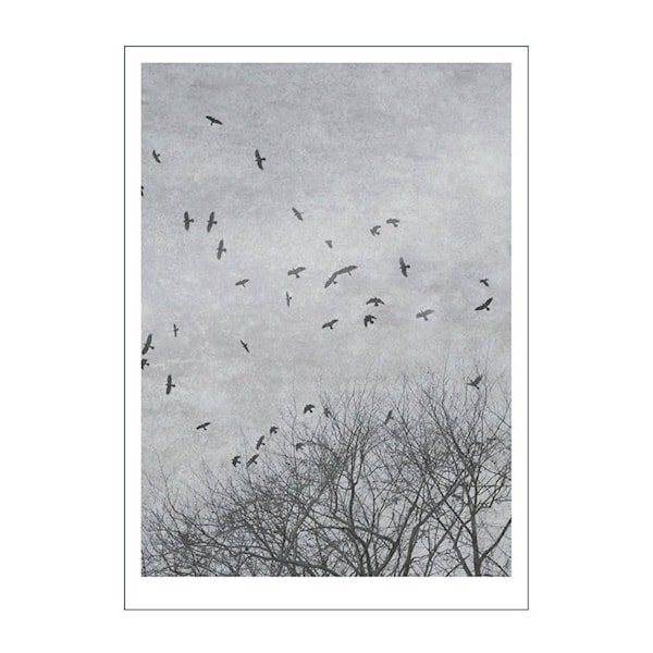 Ingrey Studio poster 50x70 cm crows