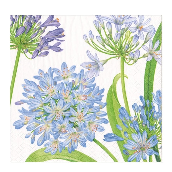 Agapanthus Garden servett 33x33 cm 20-pack blå/lila/vit